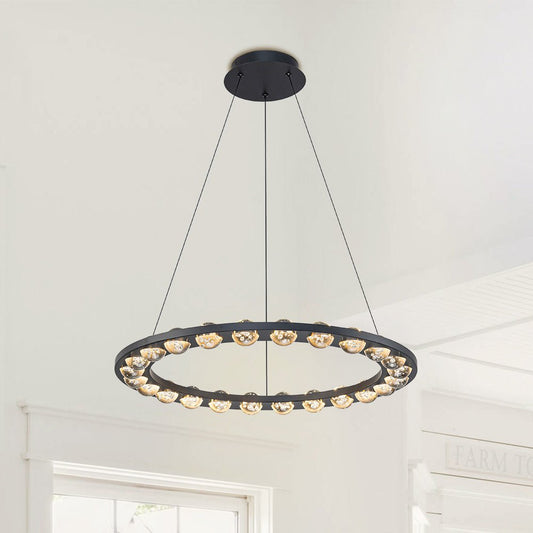 Lustre Boule Verre 24 Lumières Cercle LED pour Salon