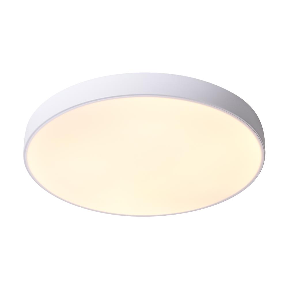 Plafonnier LED Moderne Cercle