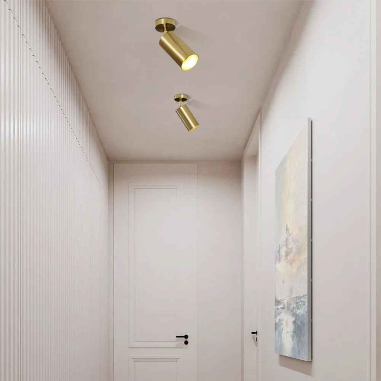 Plafonnier Laiton 1 Lumière Orientable Spot sur Rail pour Cuisine