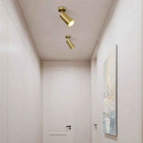 Plafonnier Laiton 1 Lumière Orientable Spot sur Rail pour Cuisine
