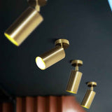 Plafonnier Laiton 1 Lumière Orientable Spot sur Rail pour Cuisine