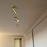 Plafonnier Laiton 1 Lumière Orientable Spot sur Rail pour Cuisine