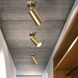 Plafonnier Laiton 1 Lumière Orientable Spot sur Rail pour Cuisine