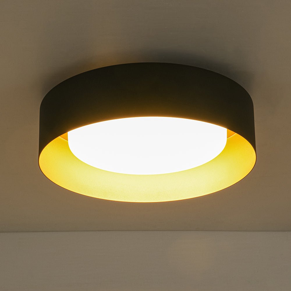 Plafonnier Tambour LED avec Laité Verre Abat-Jour pour Salle de Bain