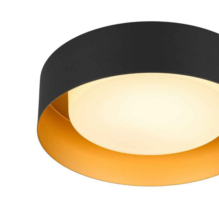Plafonnier LED tambour noir avec anneau doré et diffuseur en verre laiteux.