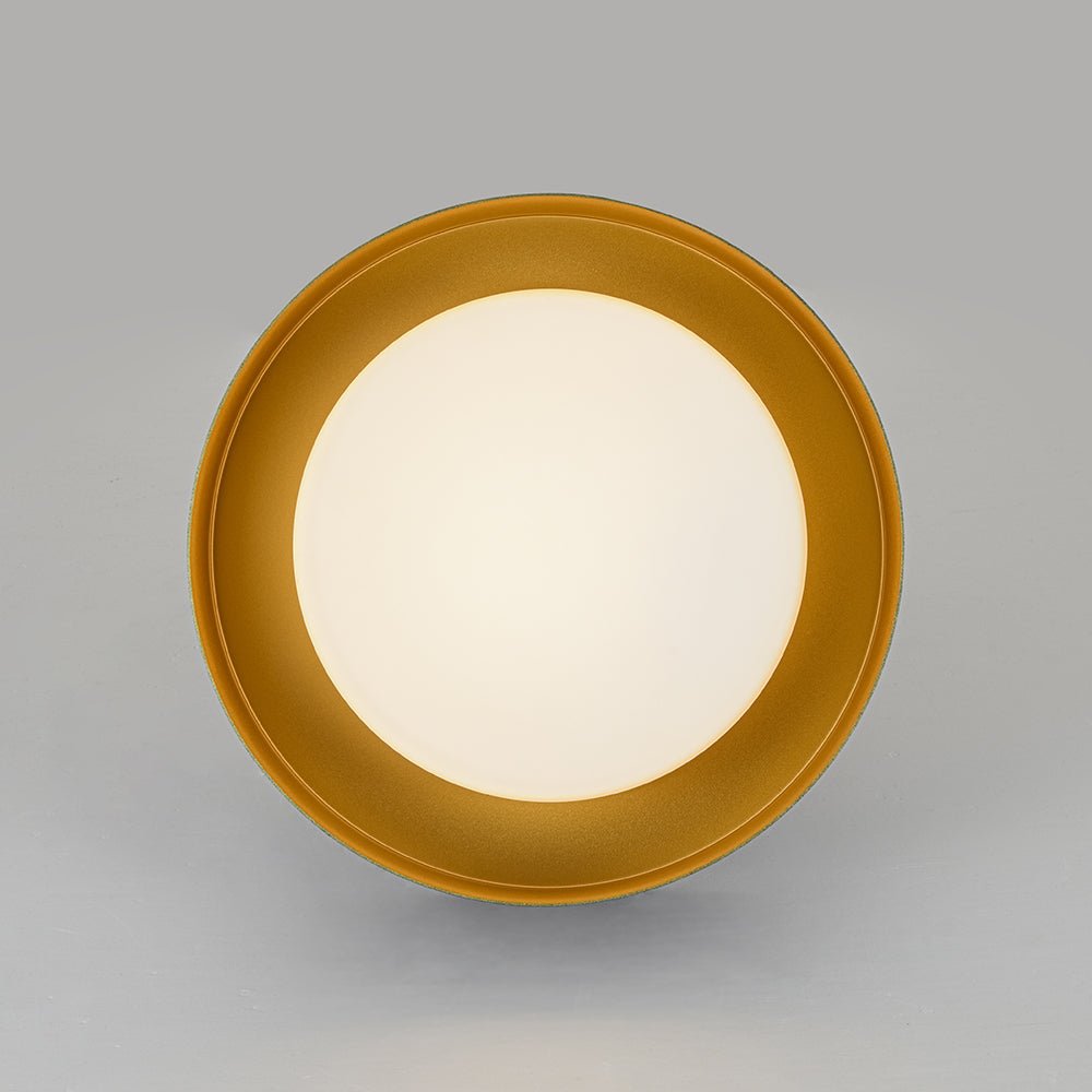 Plafonnier Tambour LED avec Laité Verre Abat-Jour pour Salle de Bain