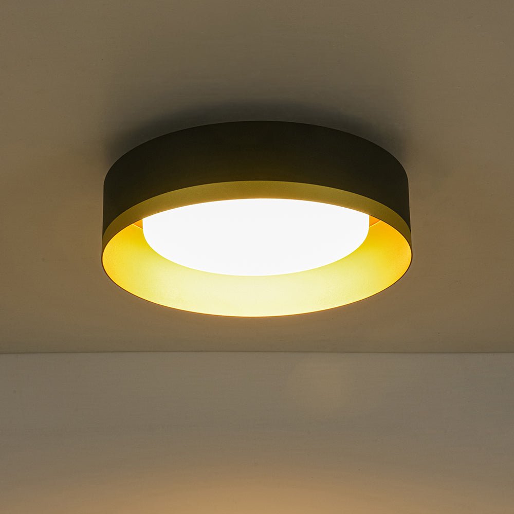 Plafonnier LED Tambour avec Laité Verre Abat-Jour pour Salle de Bain