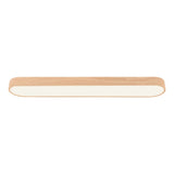 Plafonnier LED Moderne Long Ovale pour Salon