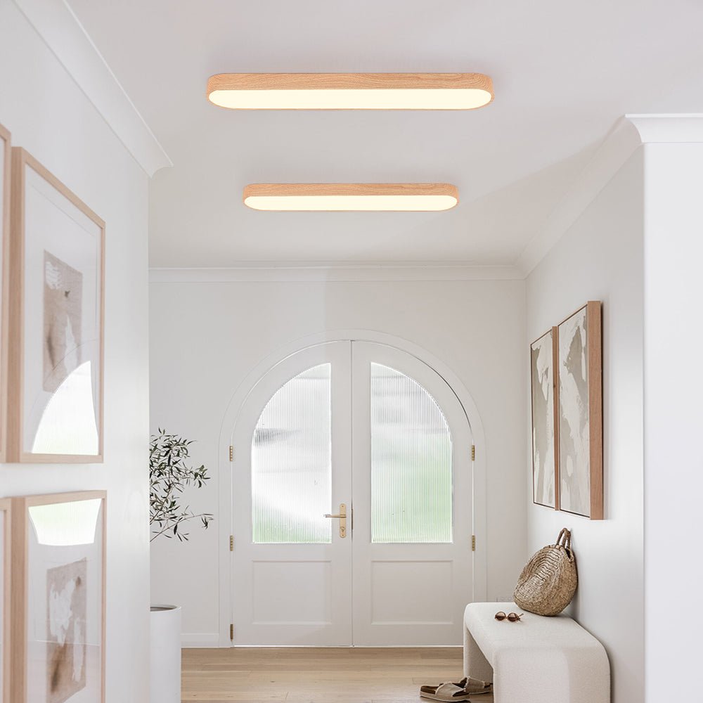 Plafonnier LED Moderne Long Ovale pour Salon
