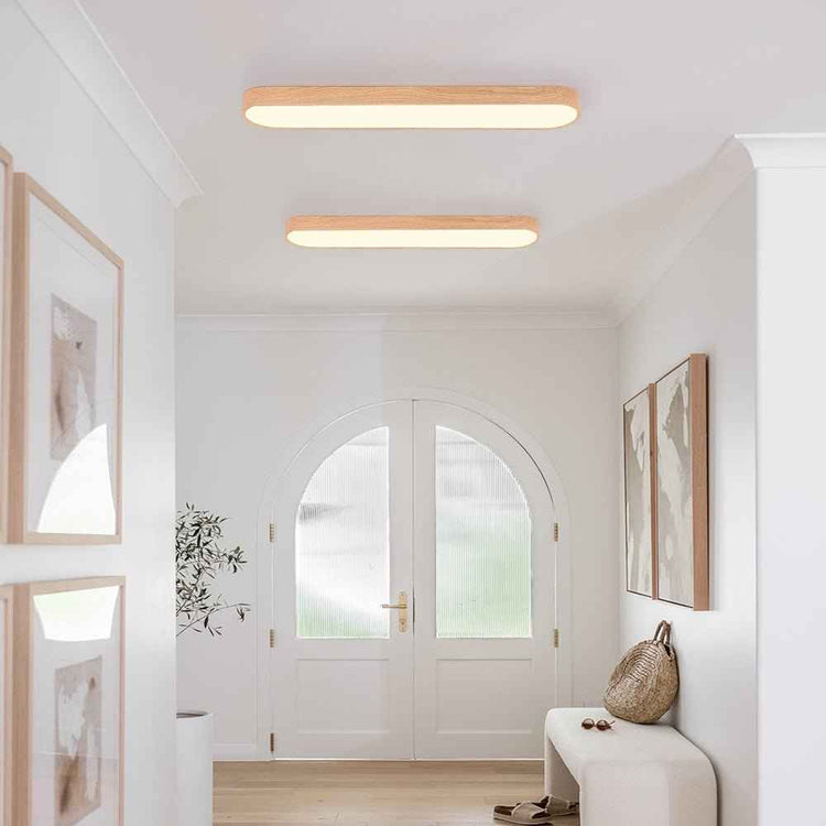 Plafonnier LED Moderne Long Ovale pour Salon